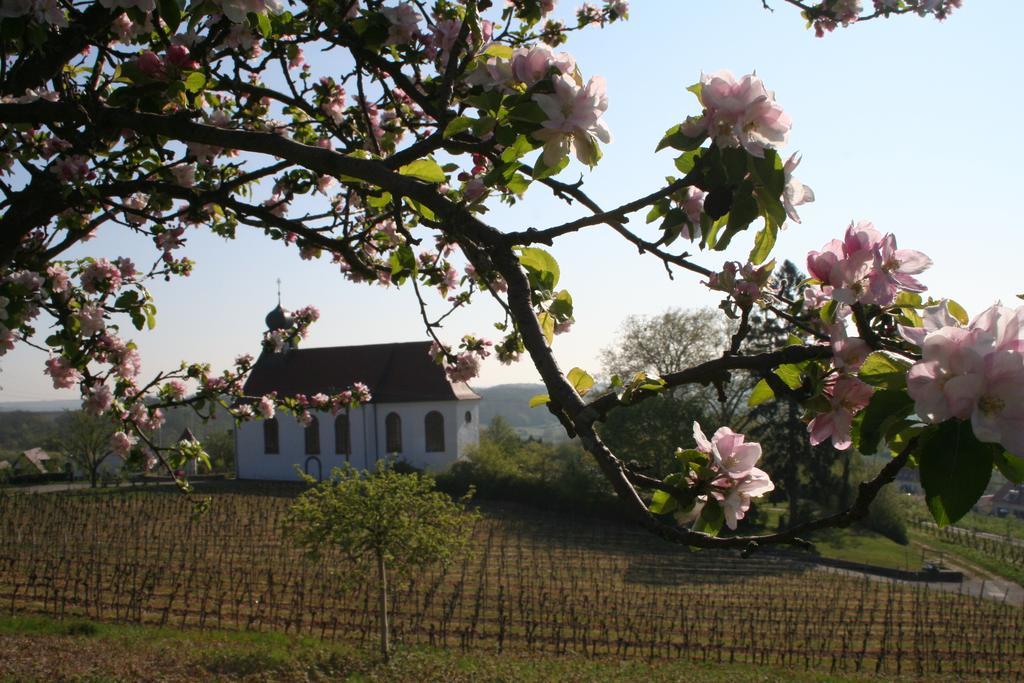 Villa Mandelbluete Gleiszellen-Gleishorbach Bilik gambar