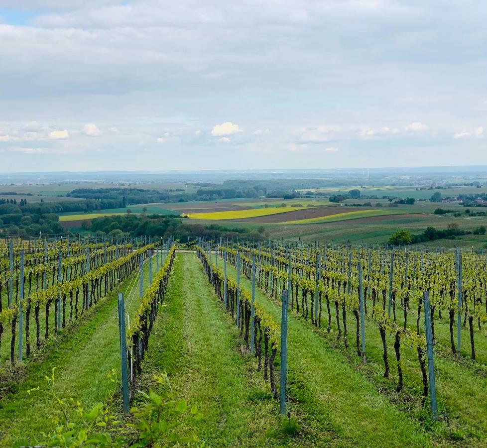 Villa Mandelbluete Gleiszellen-Gleishorbach Luaran gambar