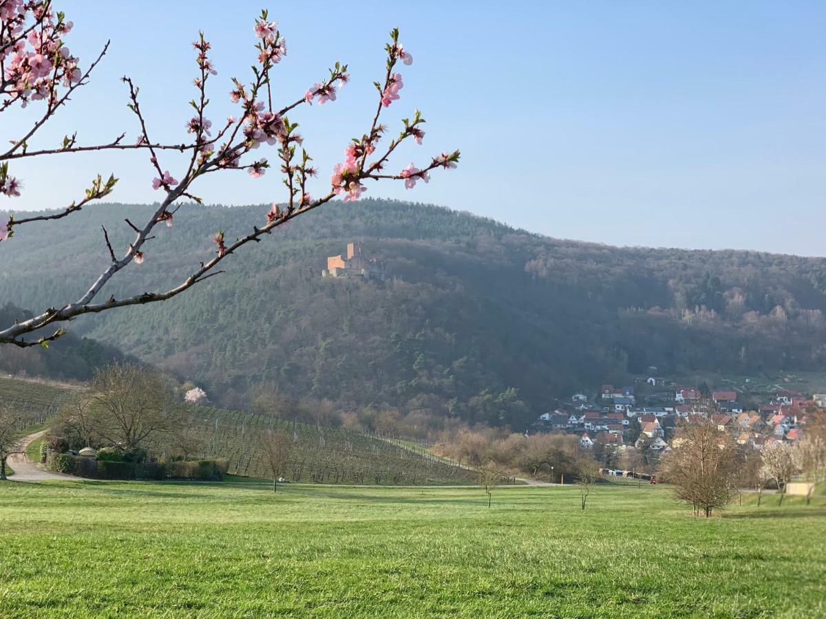 Villa Mandelbluete Gleiszellen-Gleishorbach Luaran gambar