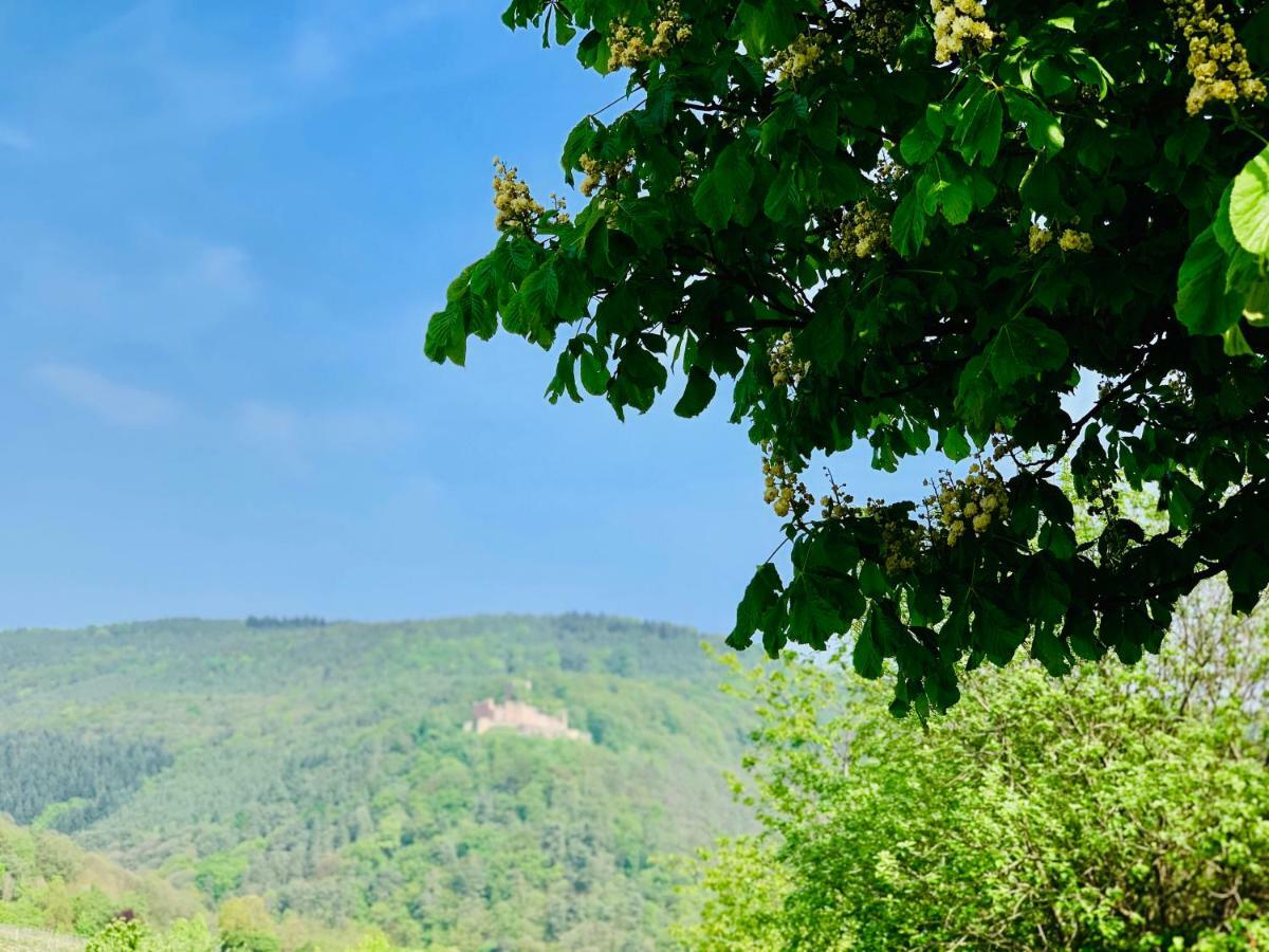 Villa Mandelbluete Gleiszellen-Gleishorbach Luaran gambar